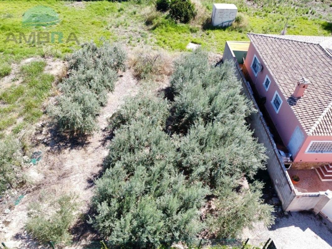 Terreno en venta en Pego, Alicante photo 4