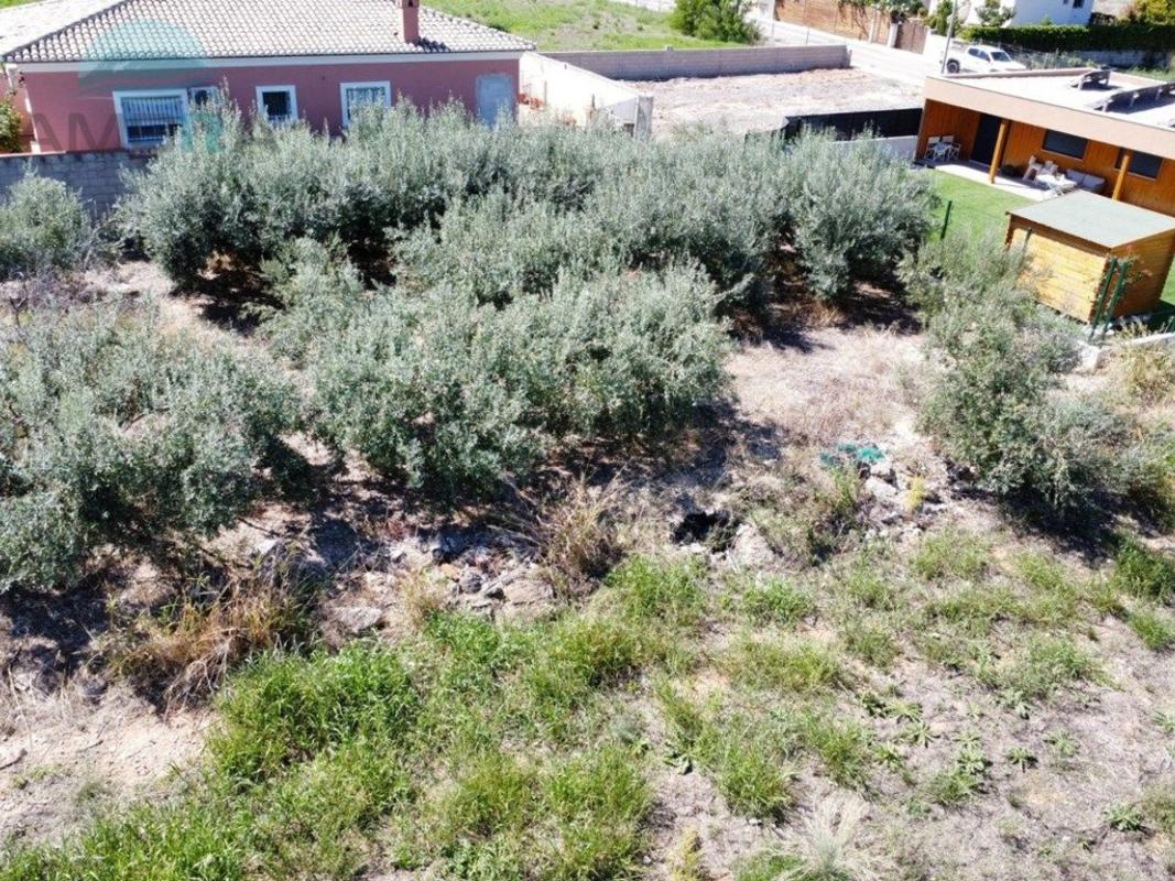 Terreno en venta en Pego, Alicante photo 5