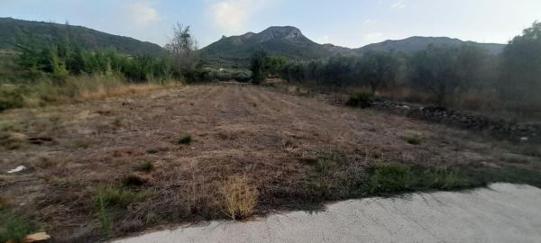 Terreno en Barranquera s/n, Alcalalí thumbnail 2