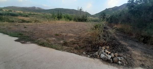 Terreno en Barranquera s/n, Alcalalí photo 4