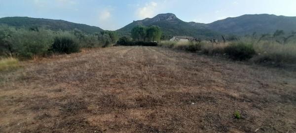 Terreno en Barranquera s/n, Alcalalí photo 1