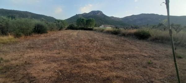 Terreno en Barranquera s/n, Alcalalí thumbnail 2