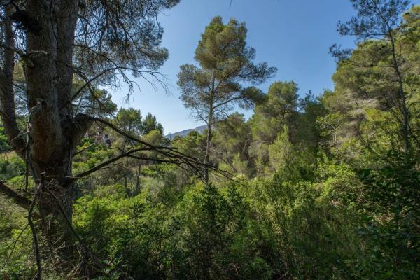 Terreno en Centro Ciudad, Jávea/Xàbia thumbnail 3