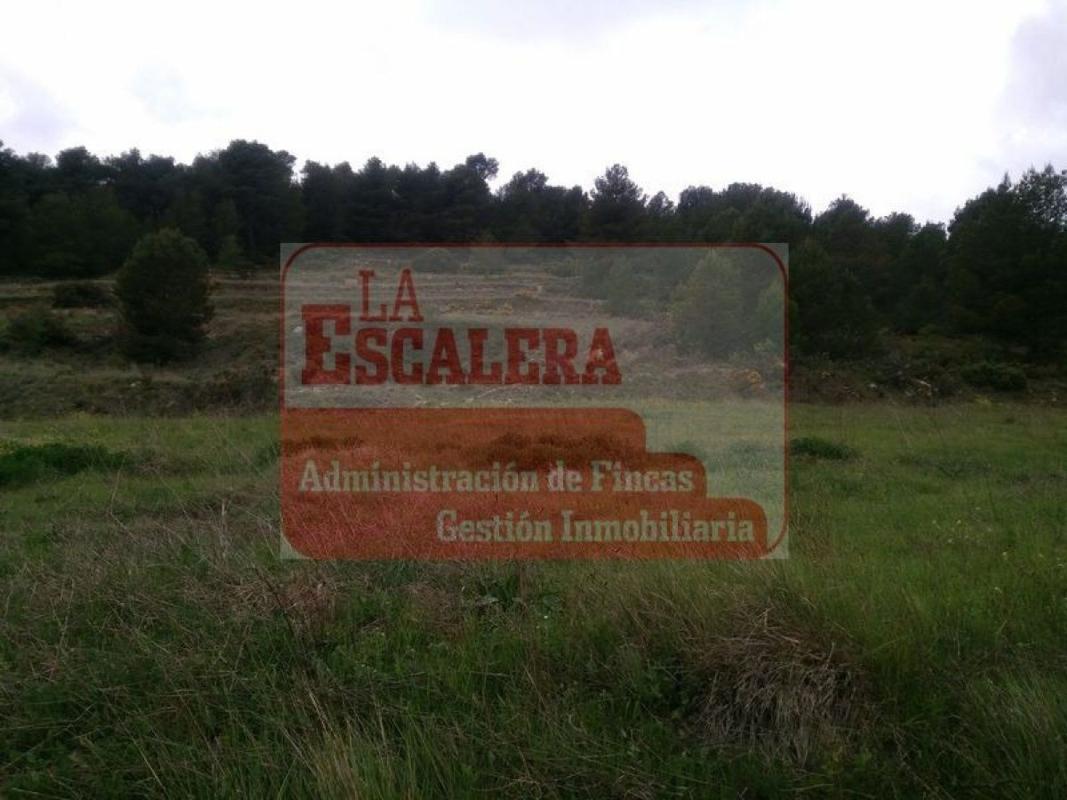Land for sale in Ibi, Alicante photo 1