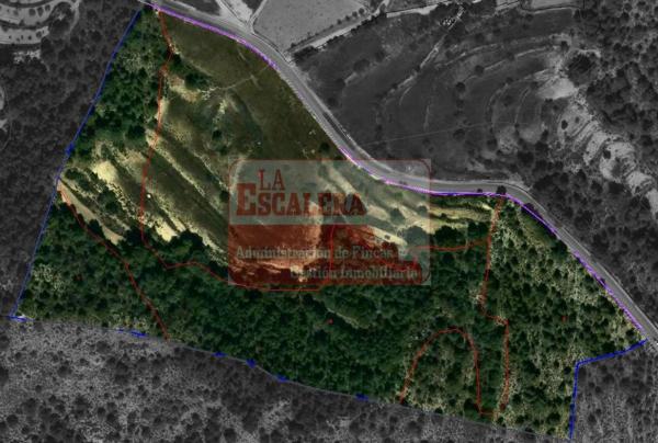 Terreno en Ibi photo 2