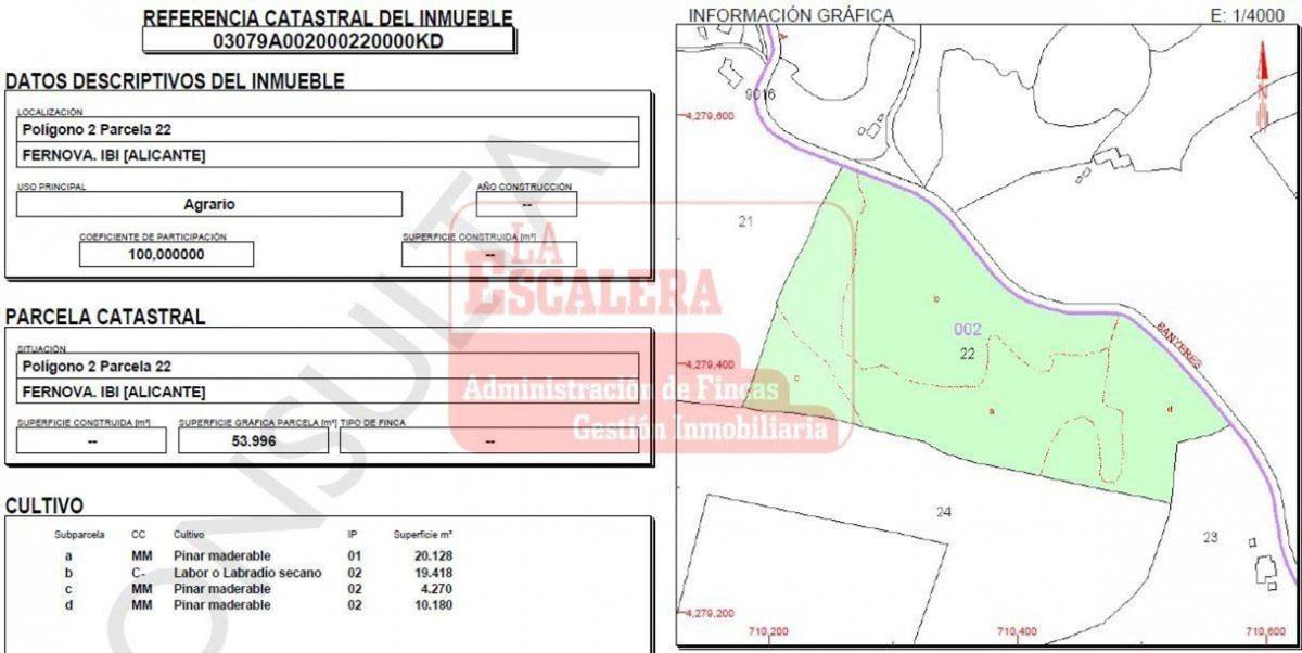 Land for sale in Ibi, Alicante photo 4