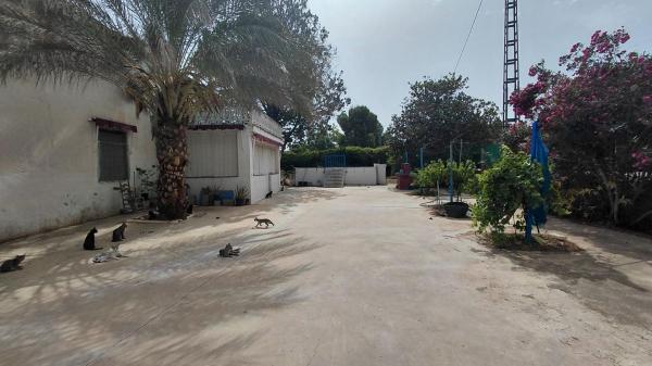 Rustic farm for sale in Finca rústica en Las Virtudes, Villena , Villena photo 1