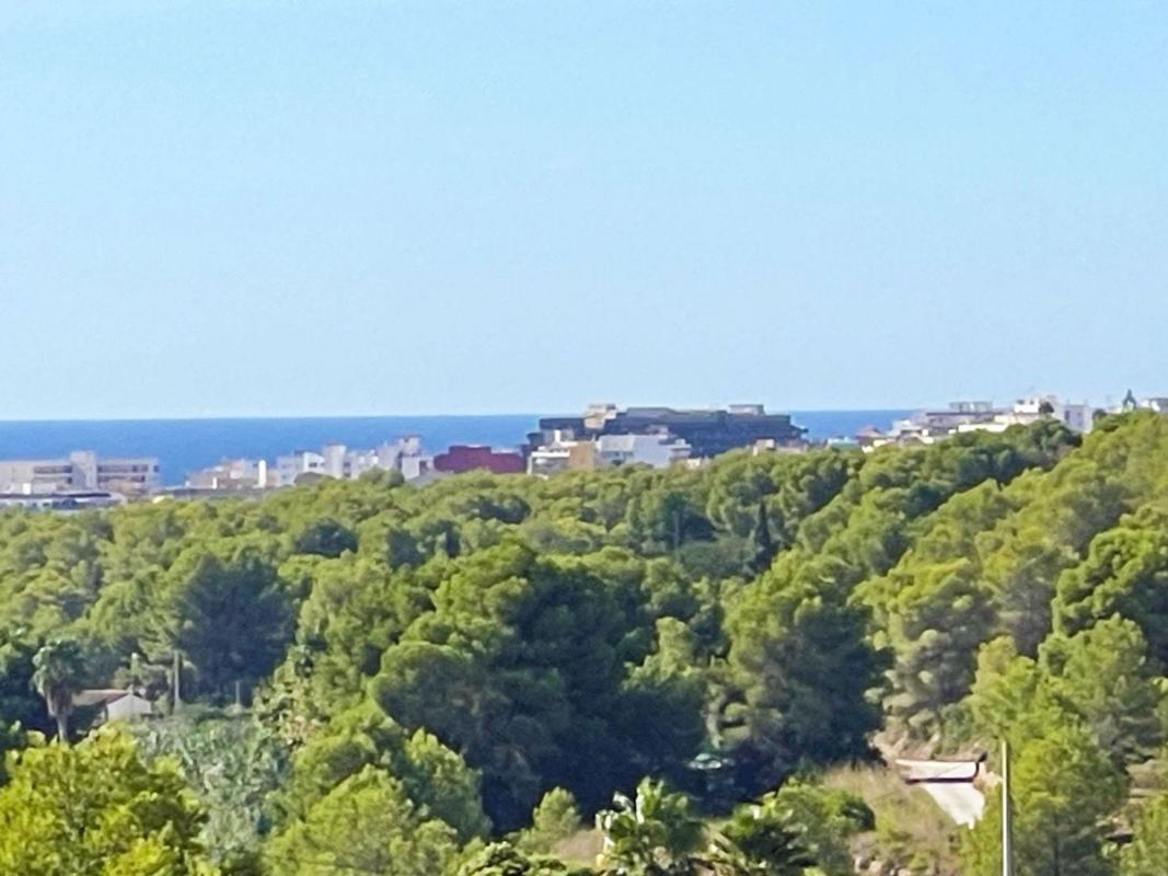Properties for sale and rent in Spain photo 2