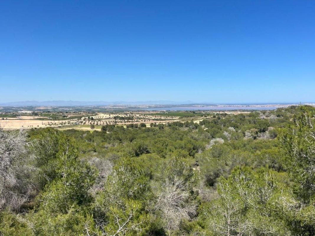 Properties for sale and rent in Spain photo 3