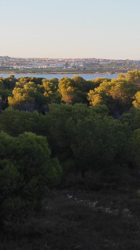 Sprzedaż mieszkania w La Siesta - El Salado - Torreta, Torrevieja
photo 2