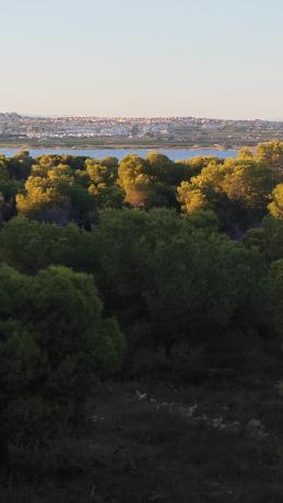 Sale of flat in La Siesta - El Salado - Torreta, Torrevieja
thumbnail 2