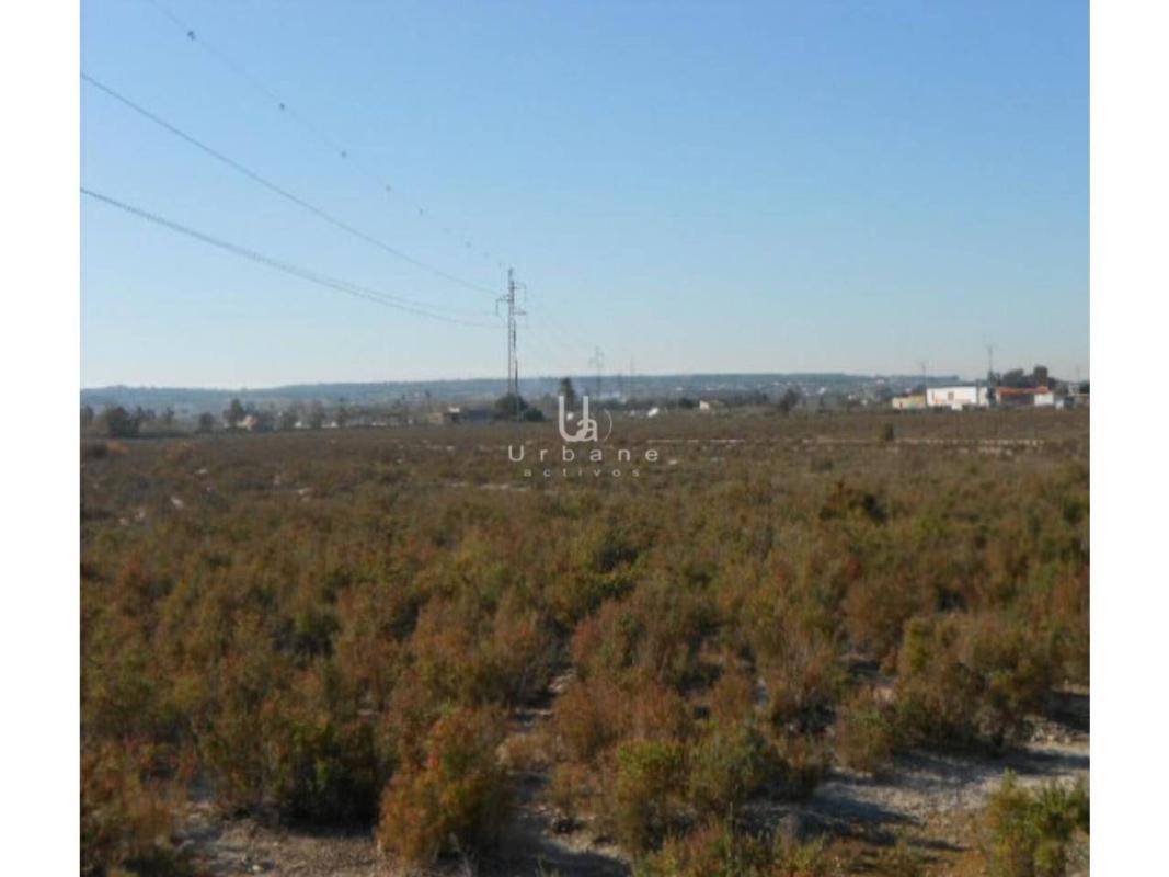 Venta de finca rústica en Finca rústica en Carretera De La Marina, 108, La Hoya-Daimes-El Derramador, Elche / Elx , Elche / Elx photo 2