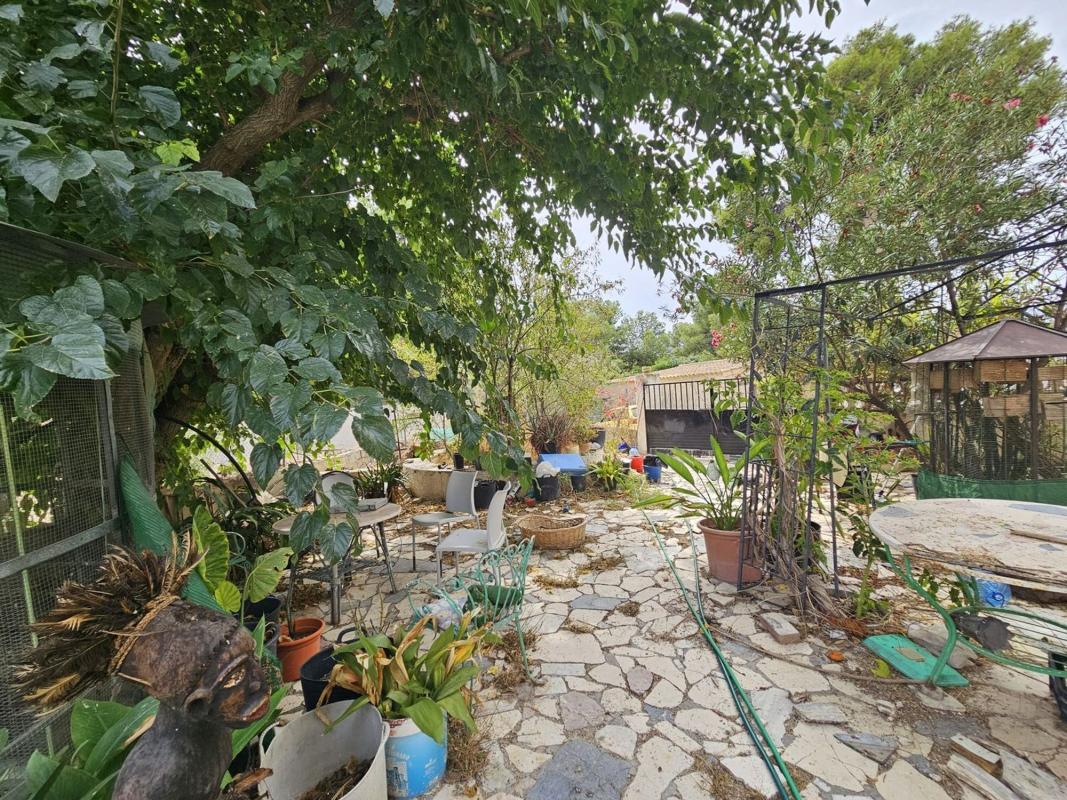Sale of rural property in Finca rústica en Pozoblanco, Monforte del Cid , Monforte del Cid photo 2