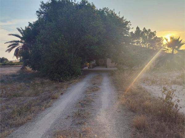 Casa rural en Carretera de León s/n, Algoda-Matola-Llano de San José, Elche / Elx photo 1