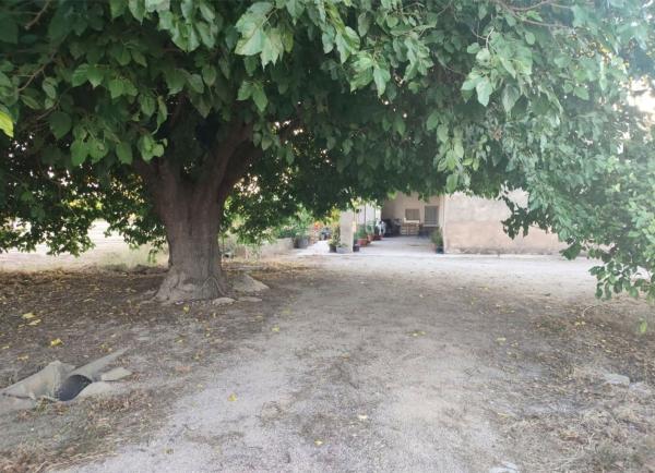 Casa rural en Carretera de León s/n, Algoda-Matola-Llano de San José, Elche / Elx thumbnail 2