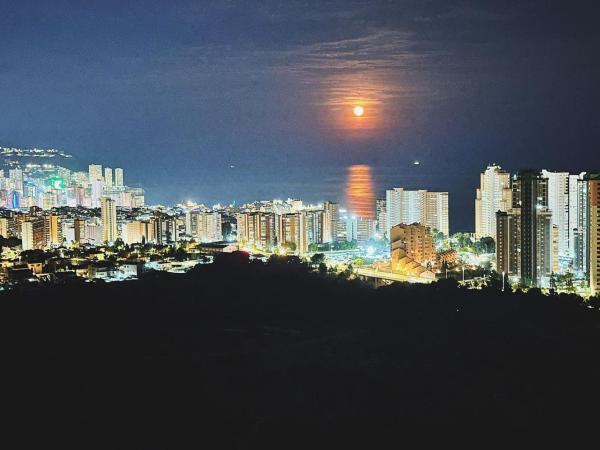 Sale of flat in Piso en Calle Presidente Adolfo Suárez, 12, Pueblo Poniente, Benidorm, Benidorm
thumbnail 3