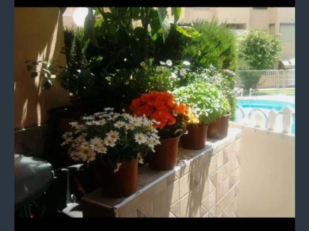 Properties for sale and rent in Spain photo 4