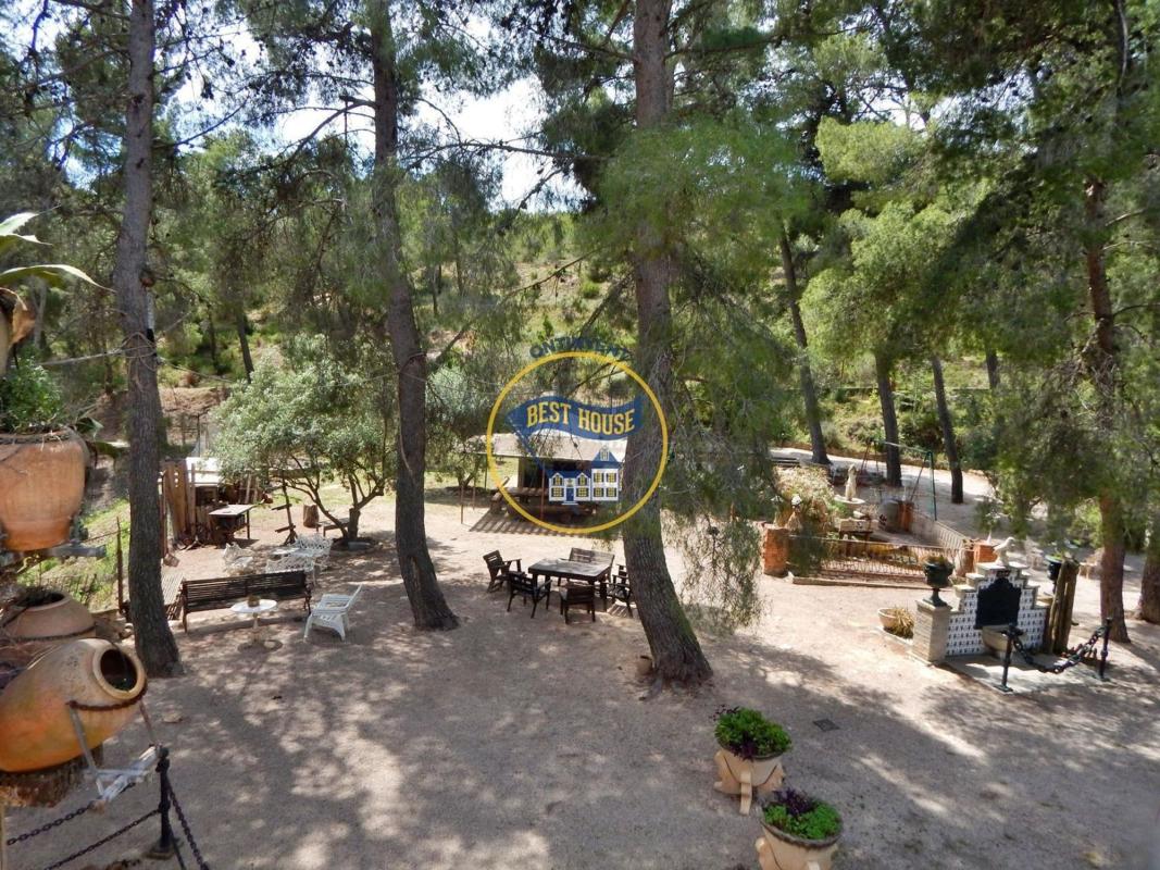 Properties for sale and rent in Spain photo 3