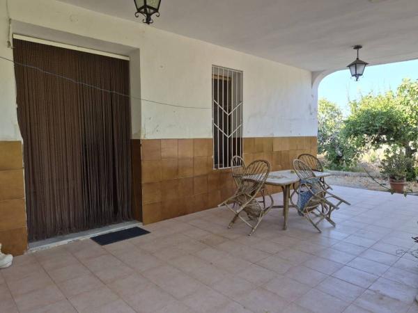 Casa o chalet independiente en Algoda-Matola-Llano de San José, Elche / Elx thumbnail 3