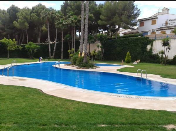 Продажа квартиры на Piso en Calle Río Guadalquivir, 173, Mil Palmeras, Pilar de la Horadada, Пилар де ла Орадада
 photo 1