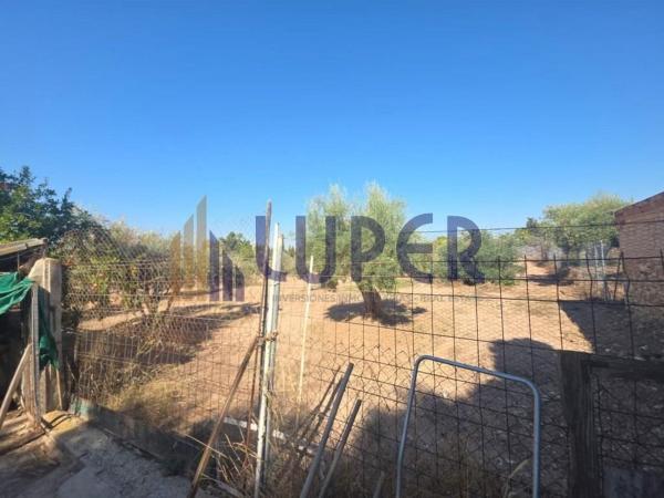 Terreno en Sol y Luz, San Vicente del Raspeig photo 4