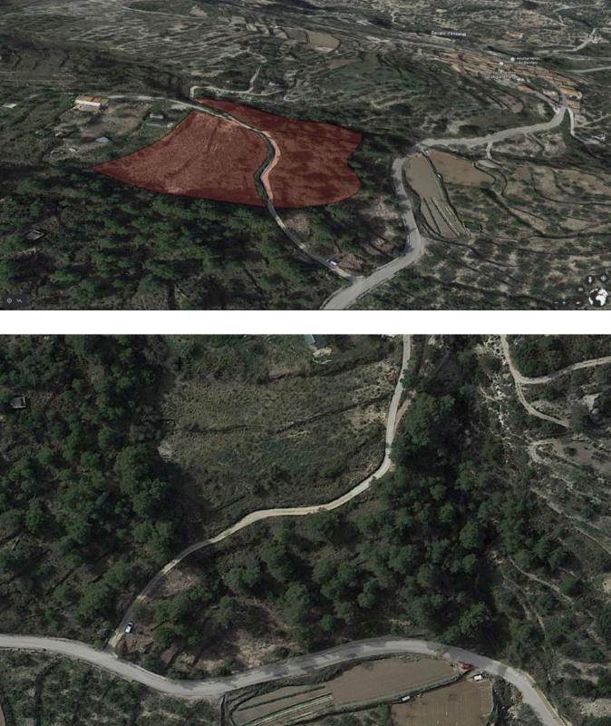 Land for sale in Benifato, Alicante photo 1