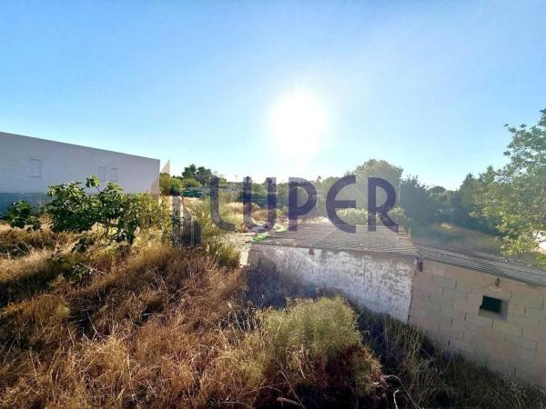 Terreno en Los Girasoles, San Vicente del Raspeig thumbnail 2