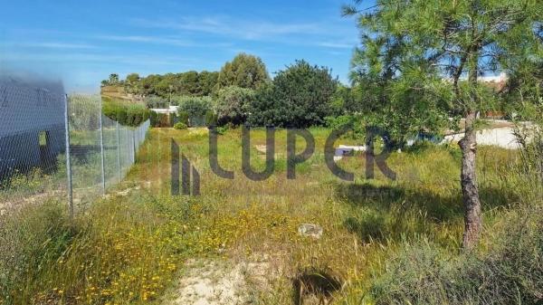 Terreno en Los Girasoles, San Vicente del Raspeig thumbnail 3