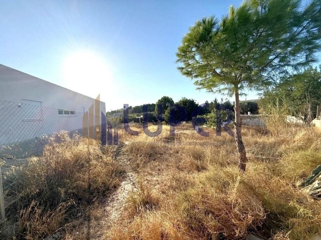 Działka na sprzedaż w San Vicente del Raspeig, Alicante photo 4