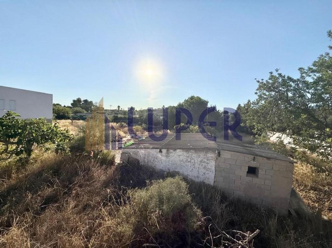 Działka na sprzedaż w San Vicente del Raspeig, Alicante photo 5