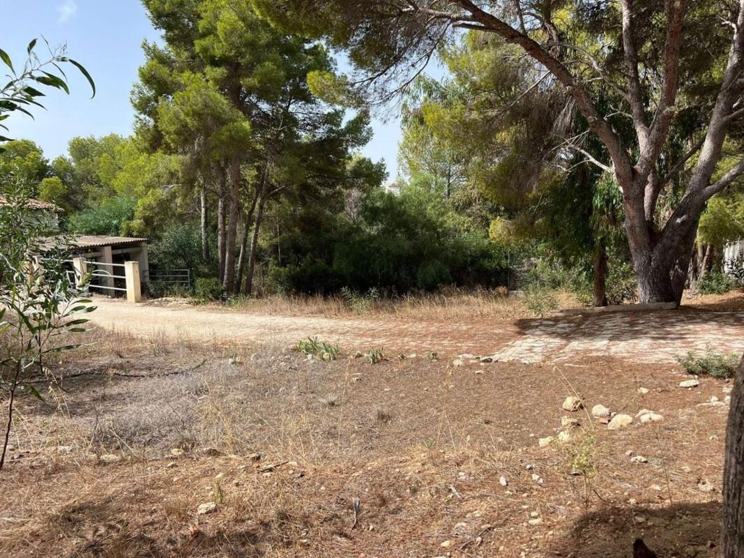 Land for sale in Moraira, Alicante photo 4