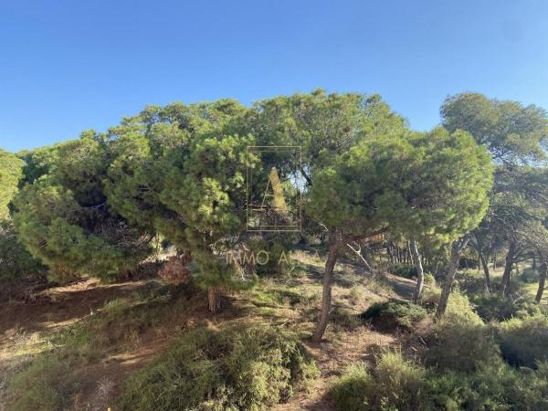 Sprzedaż mieszkania w Piso en Zona Pueblo, Guardamar del Segura, Guardamar del Segura
thumbnail 3