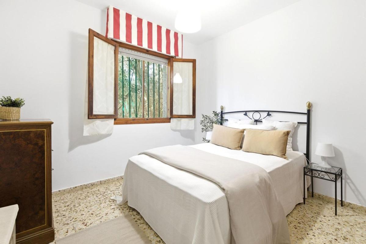 Properties for sale and rent in Spain photo 5