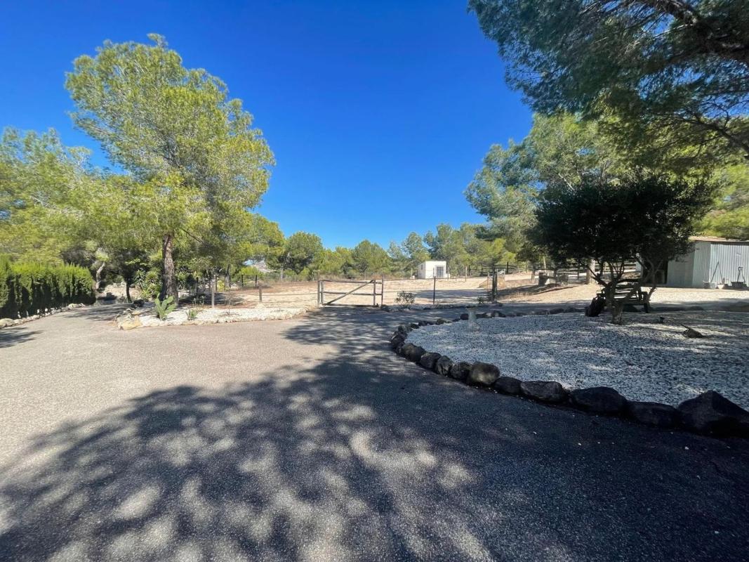 Properties for sale and rent in Spain photo 5