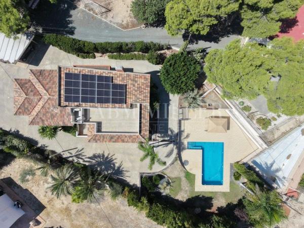 Casa o chalet independiente en Calle Antonio Jaen Hidalgo, Peña de Las Águilas, Elche / Elx thumbnail 3