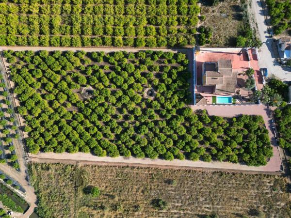Casa o chalet independiente en Camino Fabregat, Desamparados-Hurchillo-Torremendo, Orihuela thumbnail 2