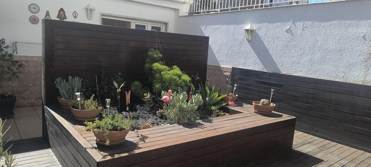Продажа квартиры на Piso en Calle Mestre Ramis, Novelda, Новельда
photo 1