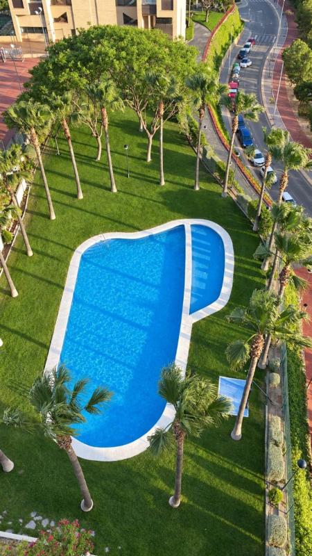 Sale of apartment in Piso en Pueblo Poniente, Benidorm, Benidorm
photo 2