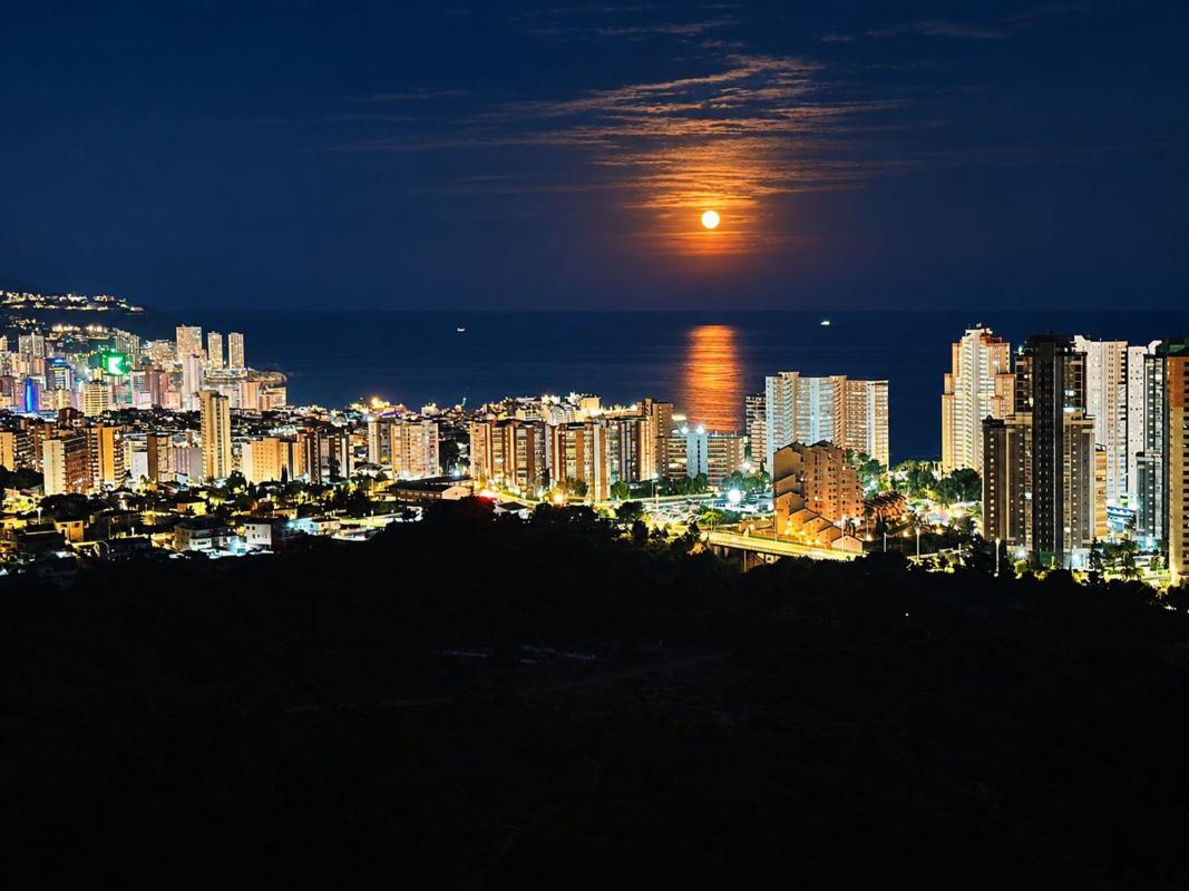 Sale of apartment in Piso en Pueblo Poniente, Benidorm, Benidorm
photo 4