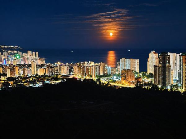 Sale of flat in Piso en Pueblo Poniente, Benidorm, Benidorm
 photo 4
