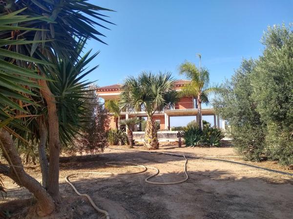 Terreno en Cv-940 s/n, Los Montesinos thumbnail 2
