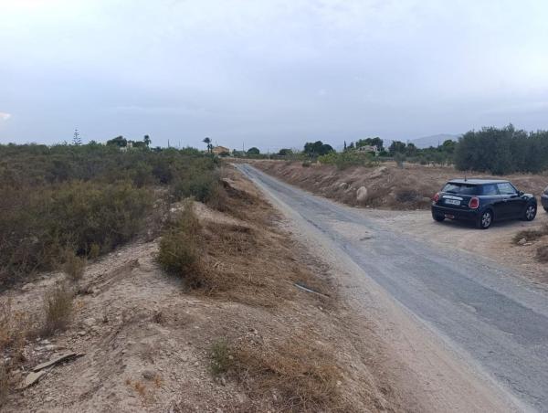 Terreno en Partida de Matola, Algoda-Matola-Llano de San José, Elche / Elx photo 4