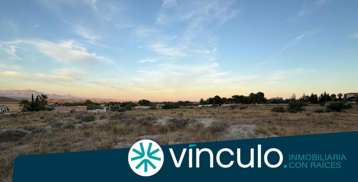 Terreno en venta en Alicante / Alacant, Alicante photo 1
