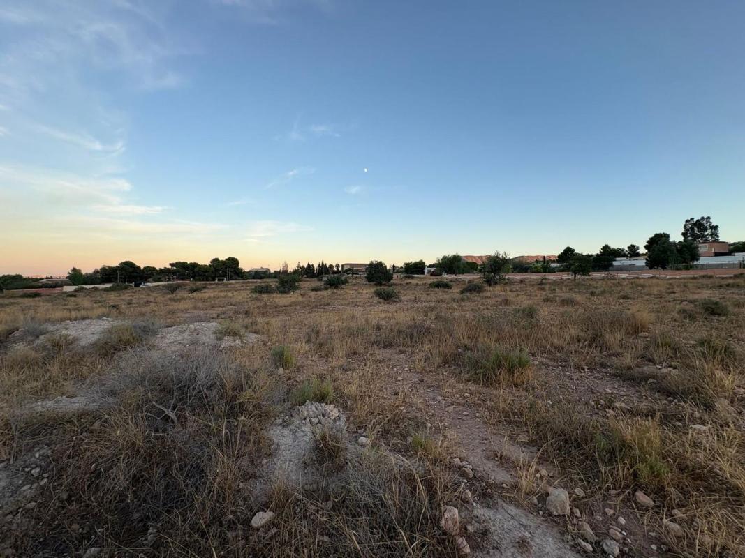 Terreno en venta en Alicante / Alacant, Alicante photo 5