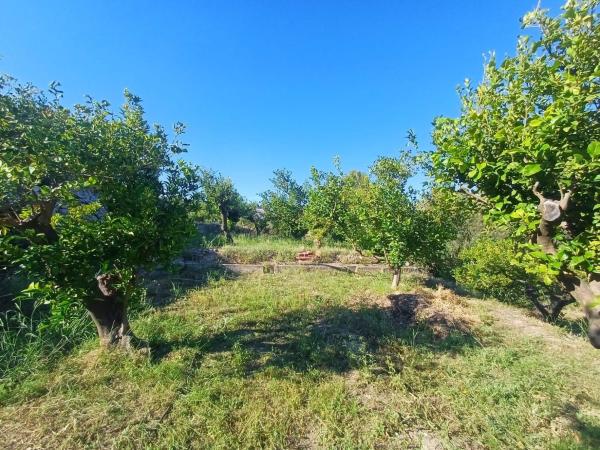 Terreno en Xirles, Polop photo 4