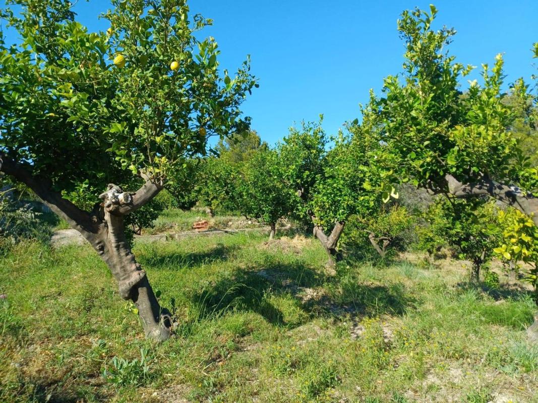 Land for sale in Polop, Alicante photo 5