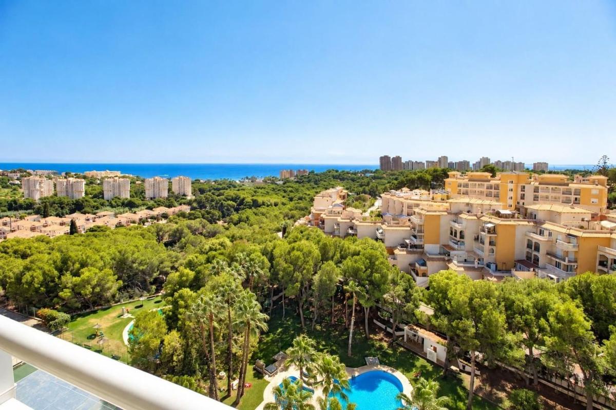Продажа квартиры на Piso en Calle Samaniego, Dehesa de Campoamor, Orihuela, Ориуэла
 photo 3