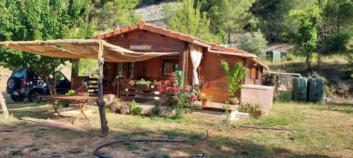 Properties for sale and rent in Spain photo 1