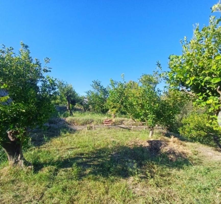 Продажа загородного участка в Finca rústica en Callosa d'En Sarria , Каллоса д'Эн-Саррия photo 1