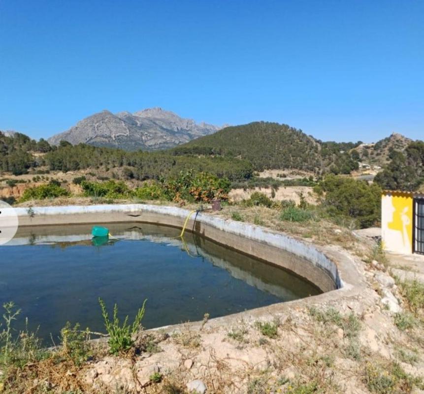 Продажа загородного участка в Finca rústica en Callosa d'En Sarria , Каллоса д'Эн-Саррия photo 2